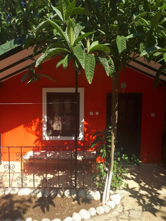Hotel Likya Saklibahce Kemer  Exteriér fotografie