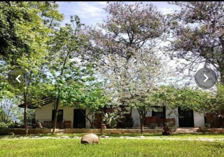 Hotel Likya Saklibahce Kemer  Exteriér fotografie